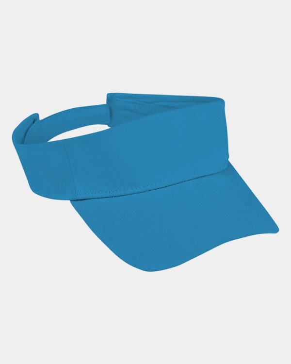 Arena Visor